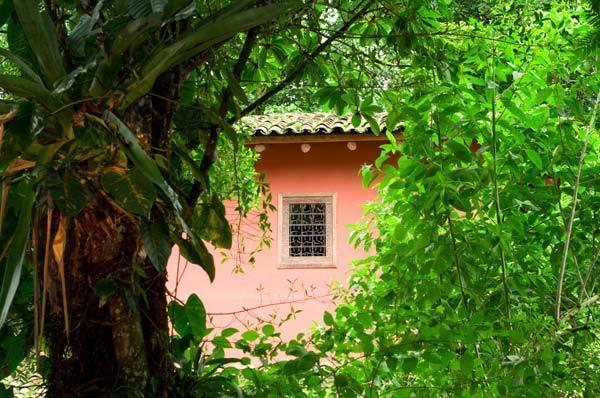 Hacienda La Isla Lodge Sarapiqui Ngoại thất bức ảnh